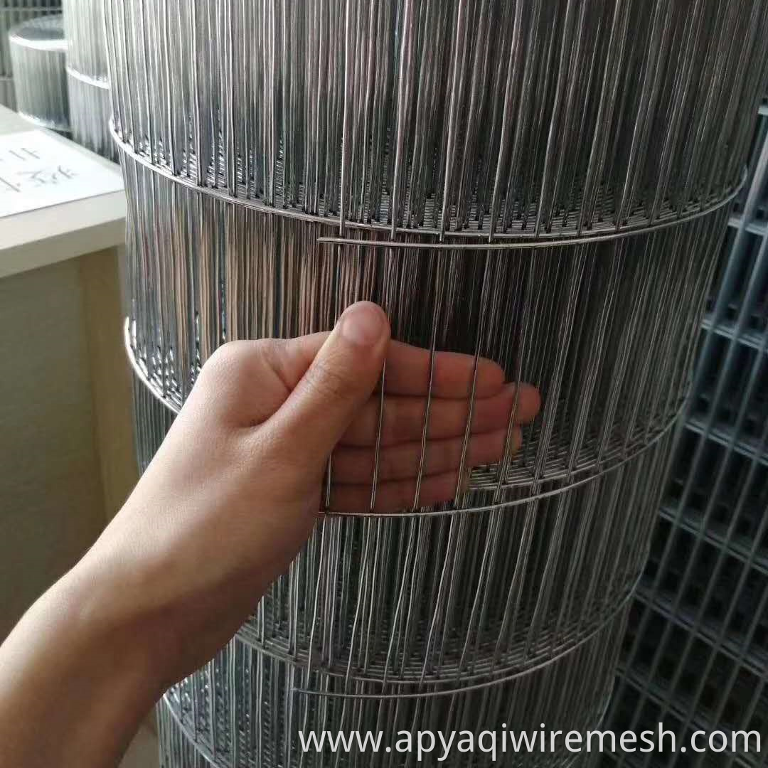 YQ Galvanized Welded Wire Mesh for Agriculture or Bird Cage for Protection Construction